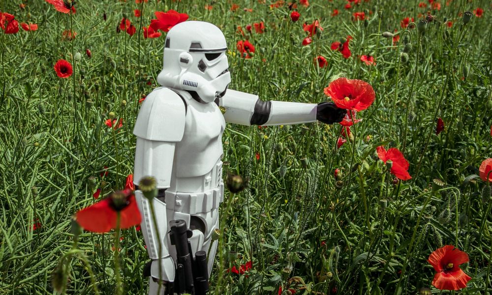 a stormtrooper picking up a flower