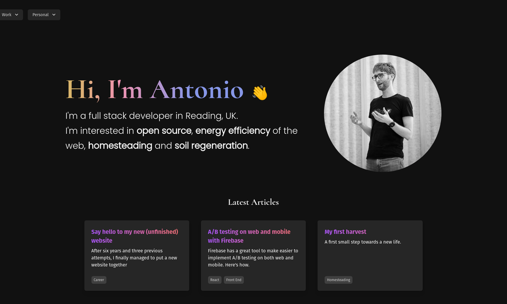 analog camera with pictures